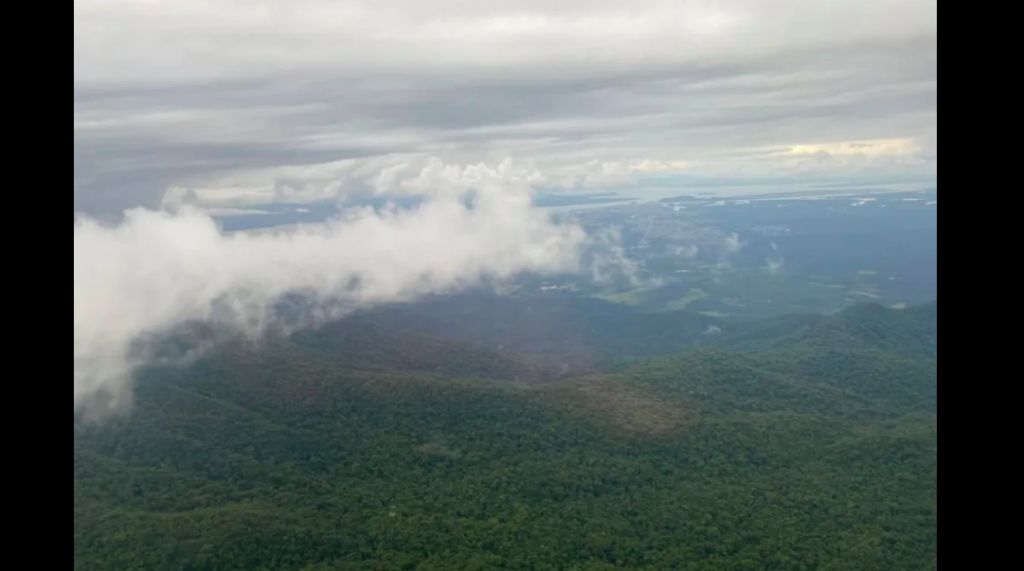 Avião desaparece na mata 🌳