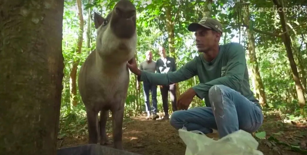 'Expedição Rio': reintegrando as antas