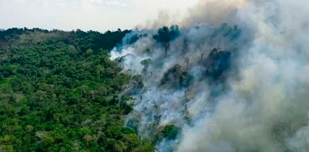 Governo Brasileiro Aposta em Títulos 'Verdes'