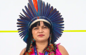 Indígena Paraense na COP-28